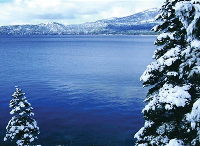 Incline Village Real Estate